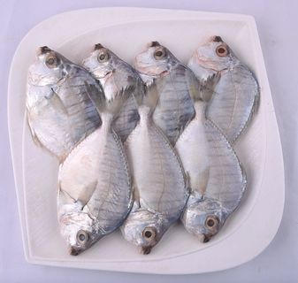 Small Fish collection