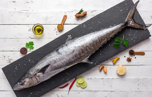 Full Slice - Seer Fish / Vanjaram